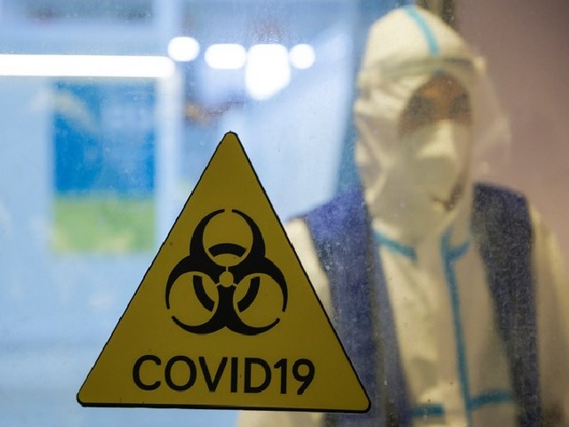 Research team finds 24 bat Coronaviruses in Southwestern China